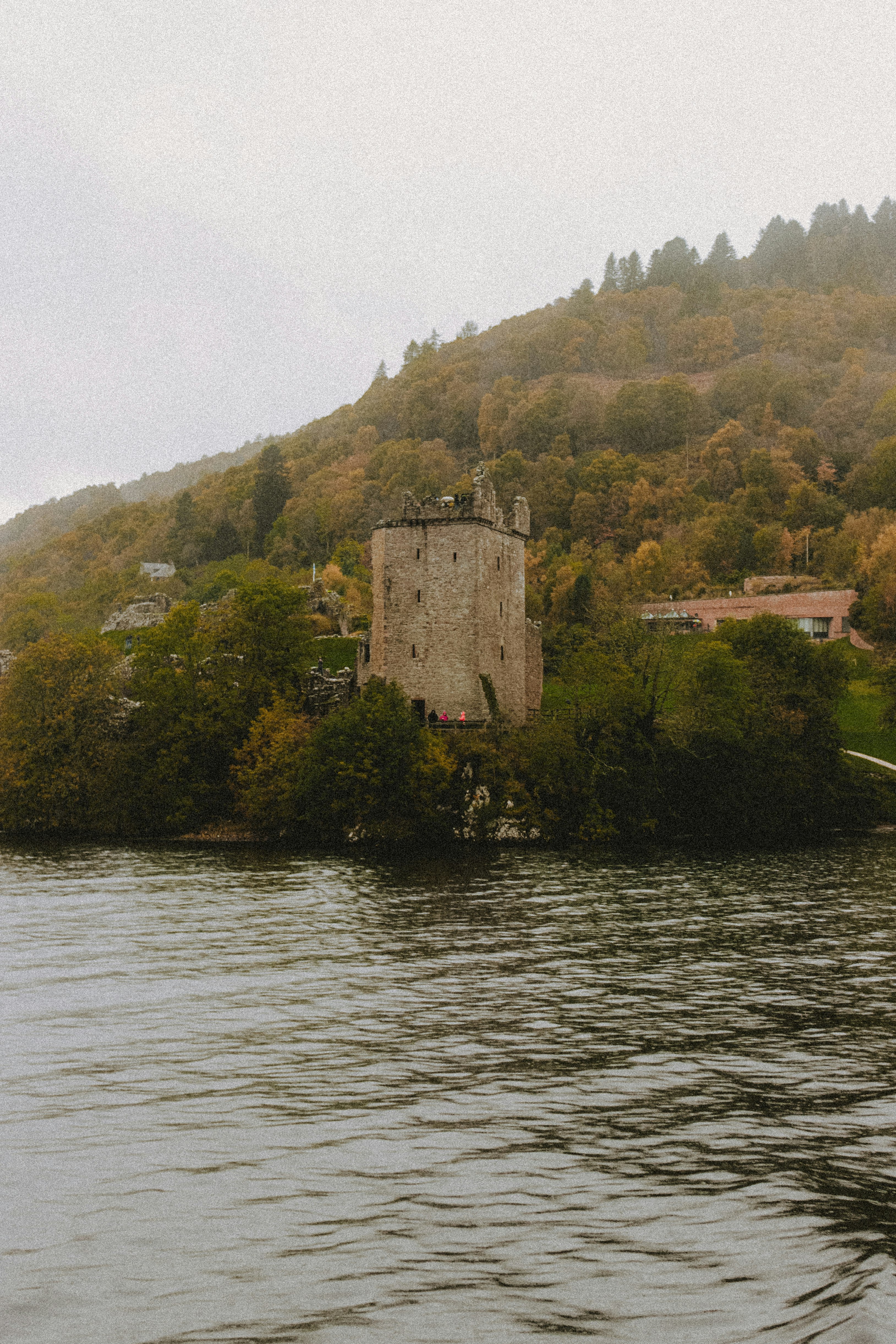 green trees beside body of water during daytime